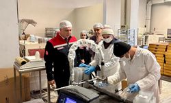 Hatay'da şekerleme üretim tesisleri denetlendi