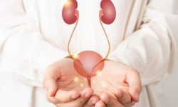 İdrar Yolu Enfeksiyonu Nasıl Anlaşılır, Nasıl Tedavi Edilir?