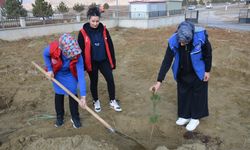 Kahramanmaraş'ta şehit 20 askerin ismi fidanlarda yaşayacak