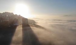 Kahramanmaraş'ta sis etkili oldu