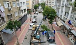Mersin'in Akdeniz ilçesinde ağaçlar bakımdan geçirildi