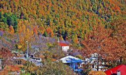 Osmaniye Küllü Köyü’nde Sonbahar Renkleri Büyülüyor