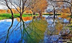 Osmaniye Yeniköy Kuş Cenneti büyülemeye devam ediyor