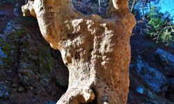 Osmaniye Zorkun Yaylası’nda Doğanın Kalbi Çataloluk