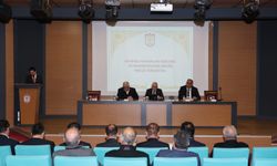 Sivas’ta Sahipsiz Hayvanlar Gündemde