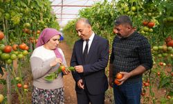 ŞOK Marketler pestisit kontrolü için laboratuvar kurdu