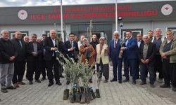 Sumbas ilçesinde çiftçilere 10 bin zeytin fidanı dağıtıldı