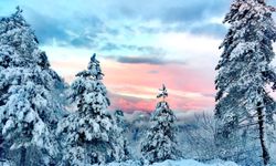 Zorkun Yaylası’nda Kar Özlemi ve Kamp Çağrısı