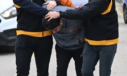 Adana'da 2 kediyi kamyonetiyle ezen sürücü 1 ay barınakta çalışacak