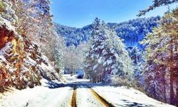 Osmaniye Amanos Dağları’nda Çataloluk’tan Yaylaya Gezi