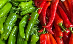 Batı Akdeniz'in ihracat şampiyonu biber oldu