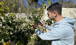 Depremzede öğrenciden yapay zeka destekli bitki bakımı uygulaması
