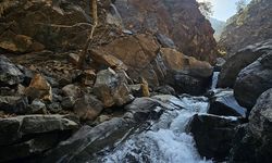 Doğanın Kalbi Amanoslar’da Atıyor