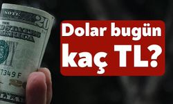 Dolar 43,50 TL Sınırında