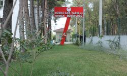 Düziçi’de Besi İşletmelerine Önemli Duyuru