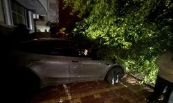 Düziçi’nde Fırtına Etkili Oldu