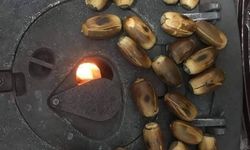 Düziçi’nde Geçim Esprisi Dile Düştü: “Kestane Pahalıysa Palıt Yeriz!”