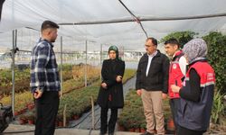 Düziçi’nde Süs Bitkisi Serasında İnceleme