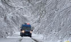 Jandarma Zorlu Kışta Görev Başında