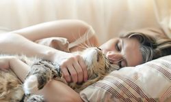 Kedinizi Yastığınızda Buluyorsanız Sebebi Bu Olabilir