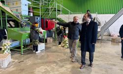Kaymakam Dolu’dan Kadirli’de Topalhan Turp Yıkama Tesisine Ziyaret