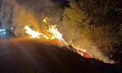 Kozan ilçesinde ağaçlık alanda çıkan yangın söndürüldü
