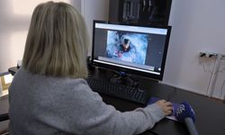 MEÜ İletişim Fakültesi Dekanı Prof. Dr. Çobaner AA'nın 'Yılın Kareleri' oylamasına katıldı