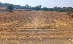 Osmaniye Kadirli’de %50 Hibeli Etlik Tavuk Tesisi Açıldı