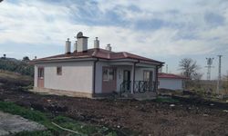 Deprem Konutları Kirayı Düşürdü