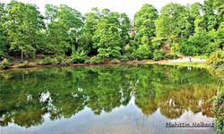 Osmaniye’nin Doğa Harikası Amanos Dağları