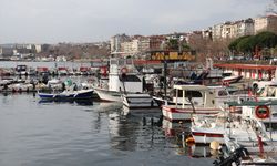 Tekirdağlı balıkçılar torik için denize açılıyor