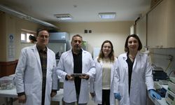 Türkiye'de kör köstebeğin 3 yeni türü keşfedildi