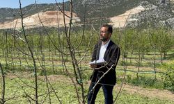 Türkiye'nin elma bahçesi Isparta'da zirai dona karşı yerli çeşitler geliştiriliyor