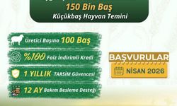 Kırsalda Bereket Projesi Başlıyor 150 Bin Küçükbaş Dağıtılacak