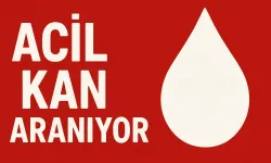 Hanife İlbeği İçin Acil Kan Bağışı Çağrısı