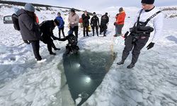 Akademisyen ve öğrenciler dondurucu soğukta buzla kaplı Çıldır Gölü'ne daldı