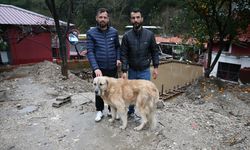 Alanya'da taşan Dim Çayı'ndaki çardakta mahsur kalan köpeklerini kurtarma anlarını anlattılar
