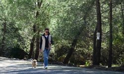 Antalya'da kaybolan 2 köpek için 1,5 aydır umut nöbeti