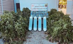 Antalya'da uyuşturucu operasyonunda 1 zanlı yakalandı