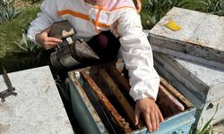 Arıcılığı babasından öğrenen genç devlet desteğiyle kovan sayısını 470'e çıkardı