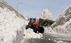 Hakkari-Van kara yoluna düşen çığ temizlendi