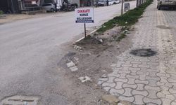 Hatay'da 4 mahalle kuduz nedeniyle karantinaya alındı