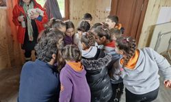 Hatay'da Milleyha Doğa Gözlem Merkezi açıldı