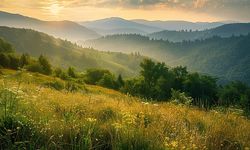 İlk Cemre Havaya Düşüyor