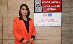 KÜÇÜK YAŞ, BÜYÜK SUÇ - Sosyal medyada yapılan 'meydan okumalar' çocukları suça yönlendirebiliyor