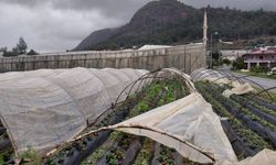 Mersin'de sağanak ve şiddetli rüzgar etkili oldu