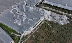 Mersin'de şiddetli rüzgardan zarar gören seralarda hasar tespit çalışması başlatıldı