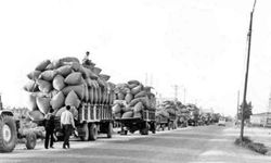 Osmaniye Çukobirlik Önündeki Pamuk Kuyrukları Tarihe Karıştı