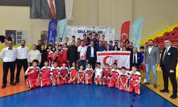 Osmaniye Okul Sporları Kick Boks Şampiyonası Sona Erdi Mi?