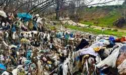 Selin Ardından Çirkin Manzara